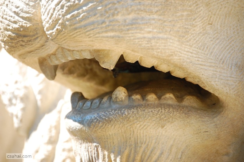 DSC_92852014-08-09_10-48-27