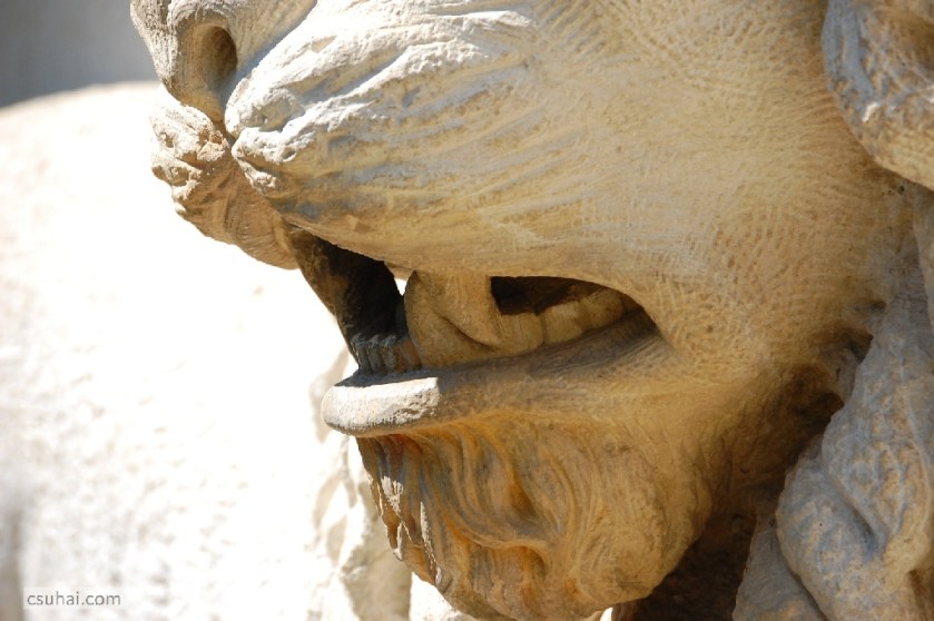 DSC_92862014-08-09_10-48-33