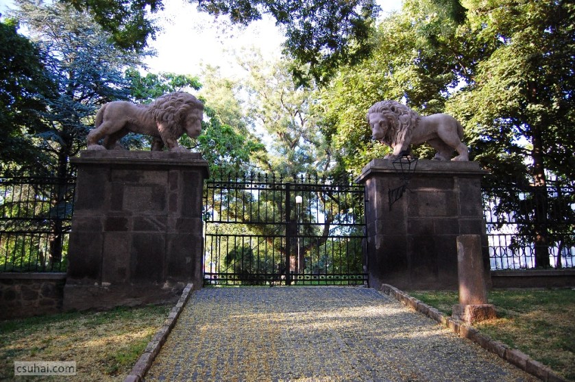 DSC_95752009-07-22_18-58-39