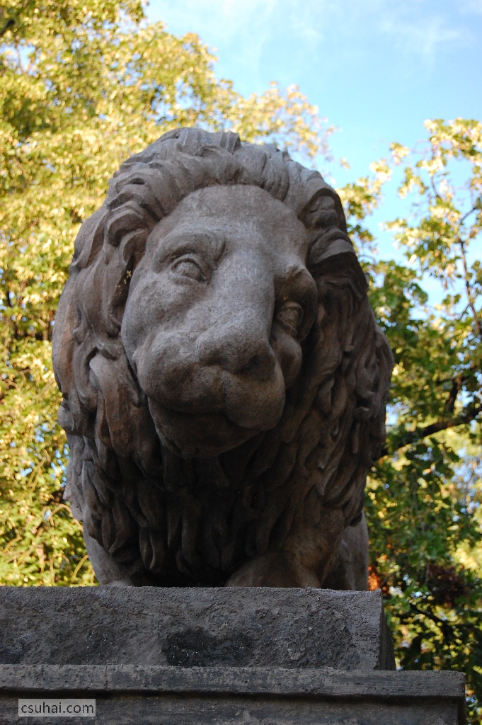 DSC_95852009-07-22_19-00-55