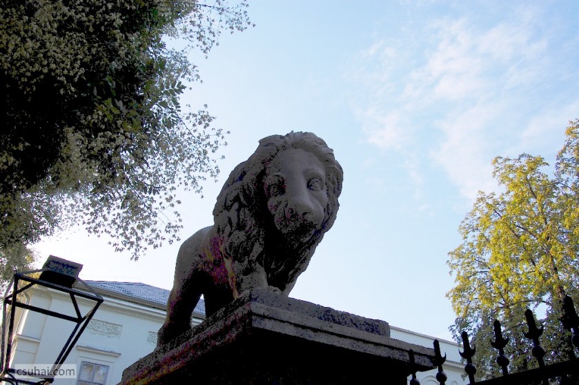 DSC_95872009-07-22_19-01-21