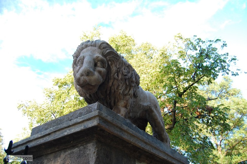 DSC_95882009-07-22_19-01-40