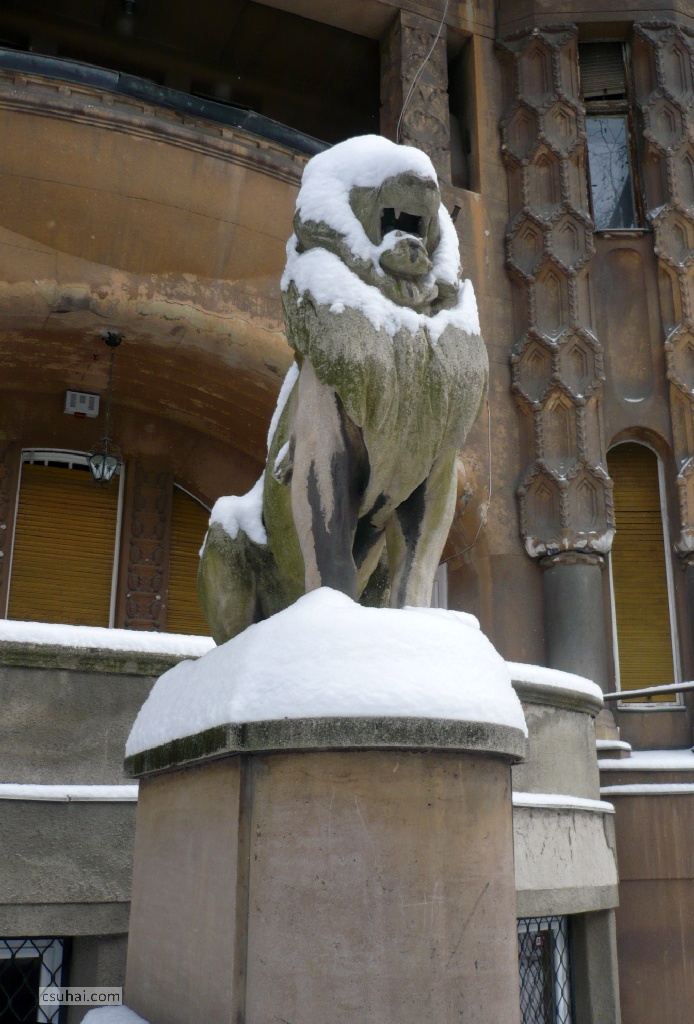 P11604332012-02-05_11-05-28