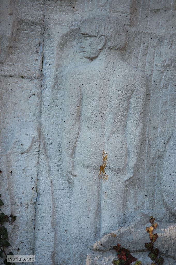 DSC_35502014-12-27_13-29-37