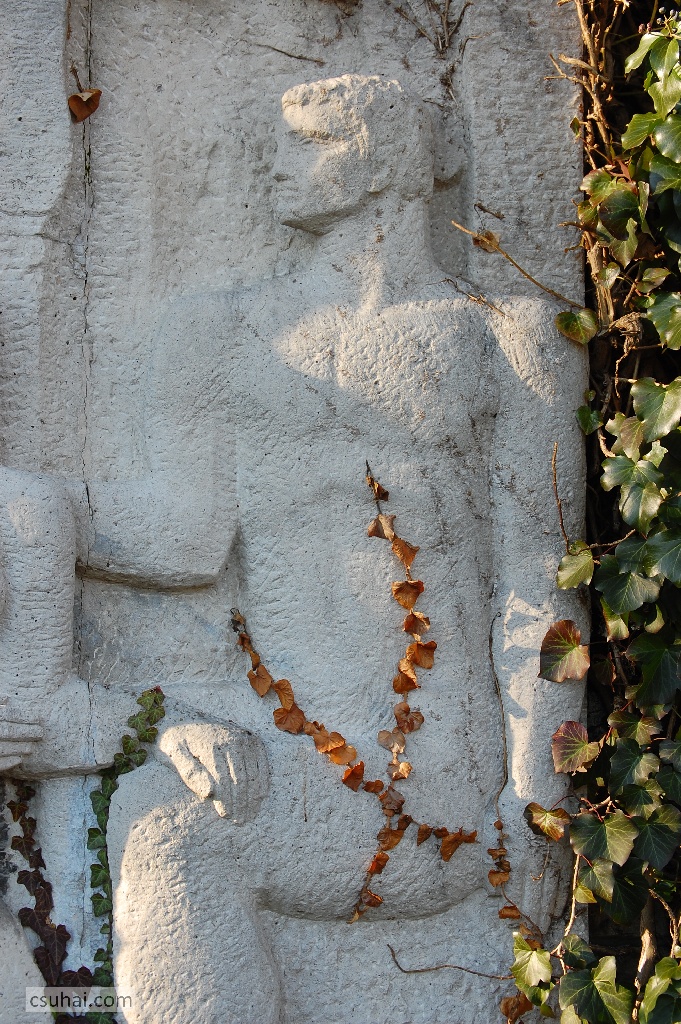 DSC_35722014-12-27_13-31-31