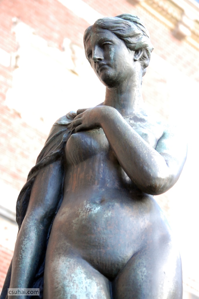 DSC_47322015-01-16_13-29-37