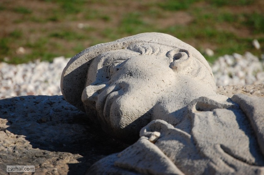 DSC_85982012-10-21_12-31-18