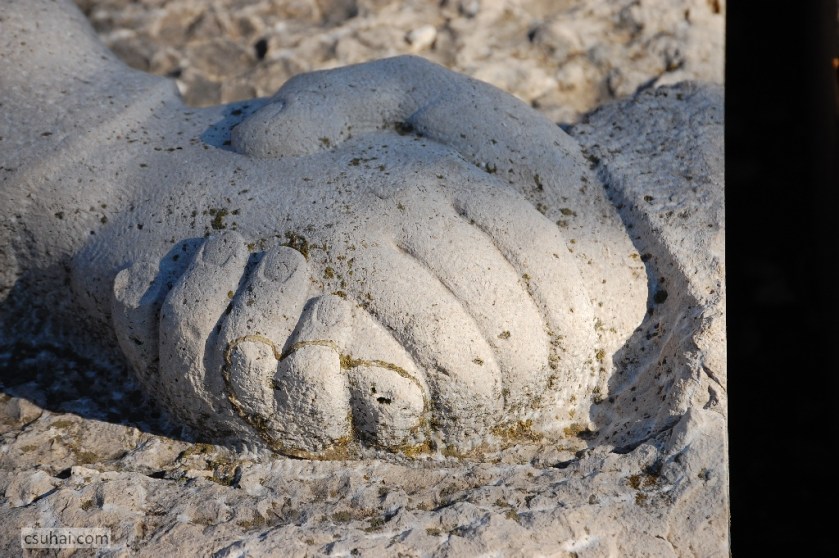 DSC_86112012-10-21_12-33-17