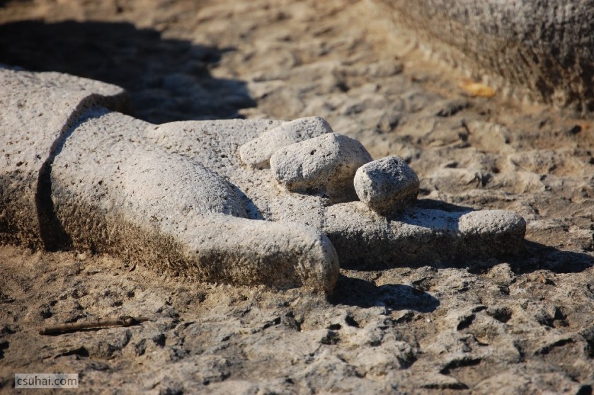 DSC_86242012-10-21_12-34-46