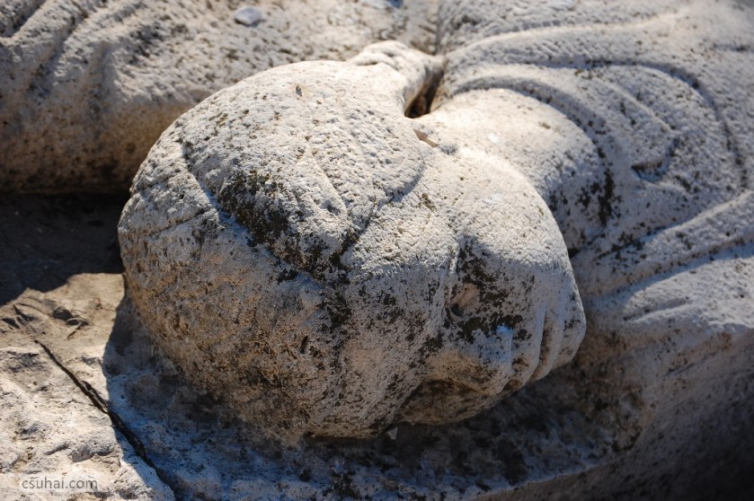 DSC_86282012-10-21_12-35-12