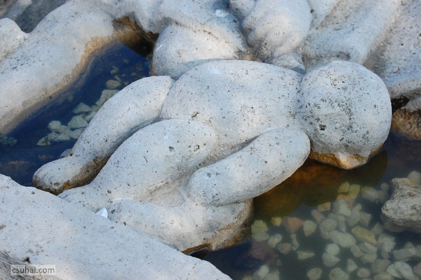 DSC_86392012-10-21_12-36-44