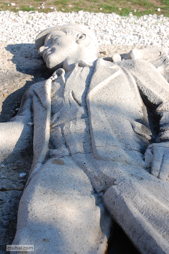 DSC_86412012-10-21_12-36-59