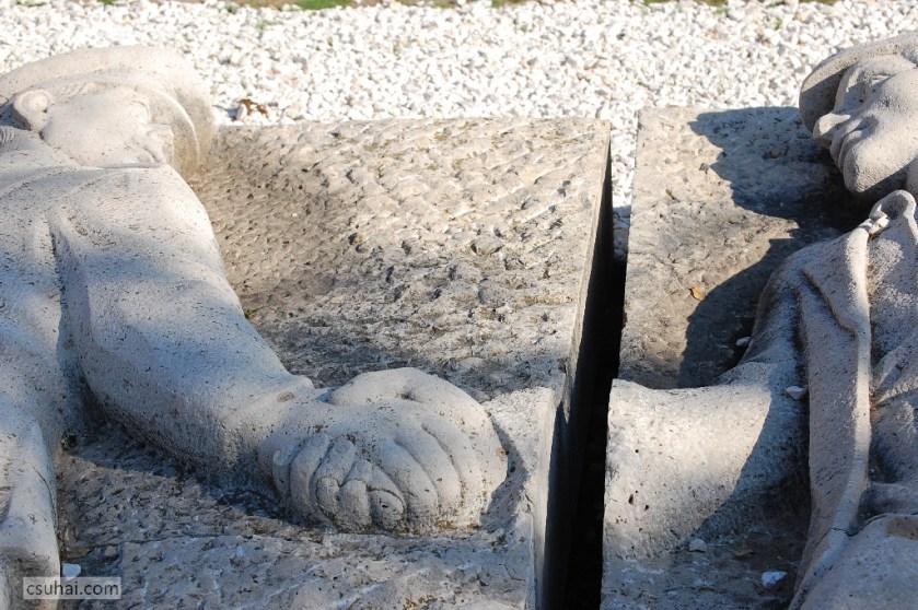 DSC_86422012-10-21_12-37-03