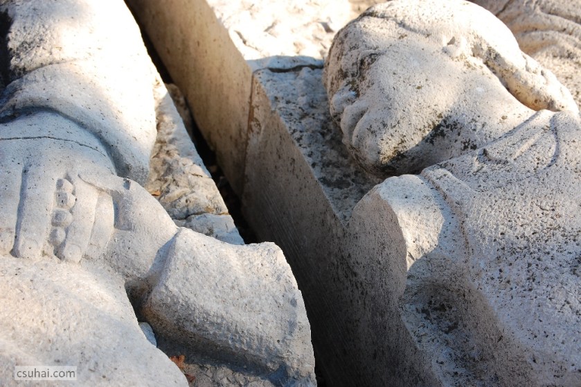 DSC_86572012-10-21_12-39-29