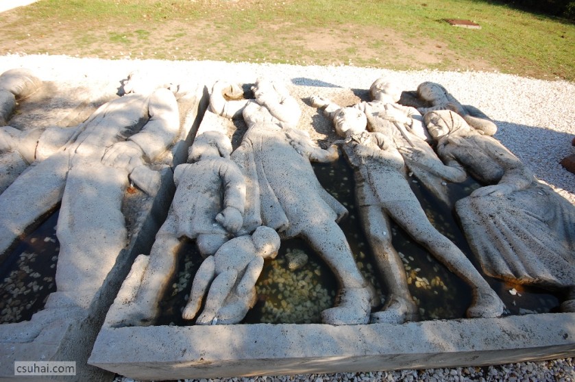 DSC_86712012-10-21_12-46-38