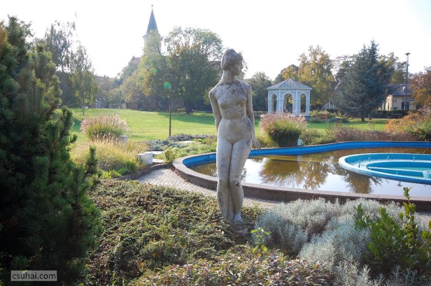 11a_DSC_23502014-10-30_12-36-40