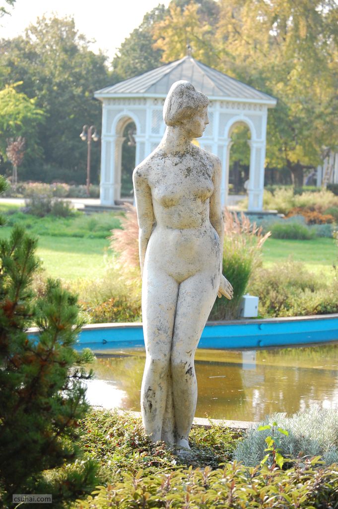 11b_DSC_23742014-10-30_12-41-35