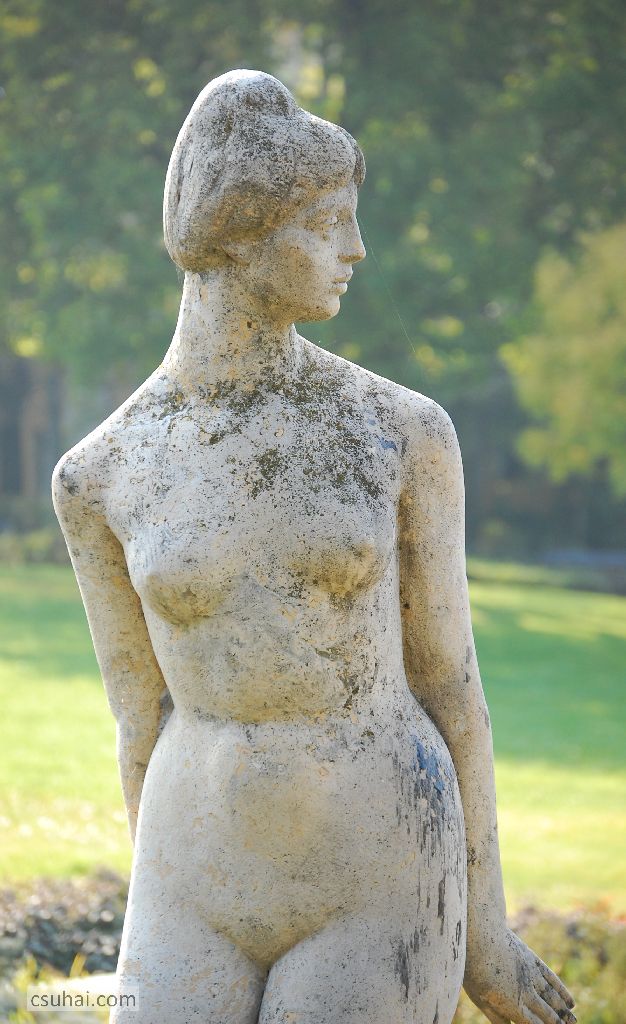 11c_DSC_23762014-10-30_12-41-45