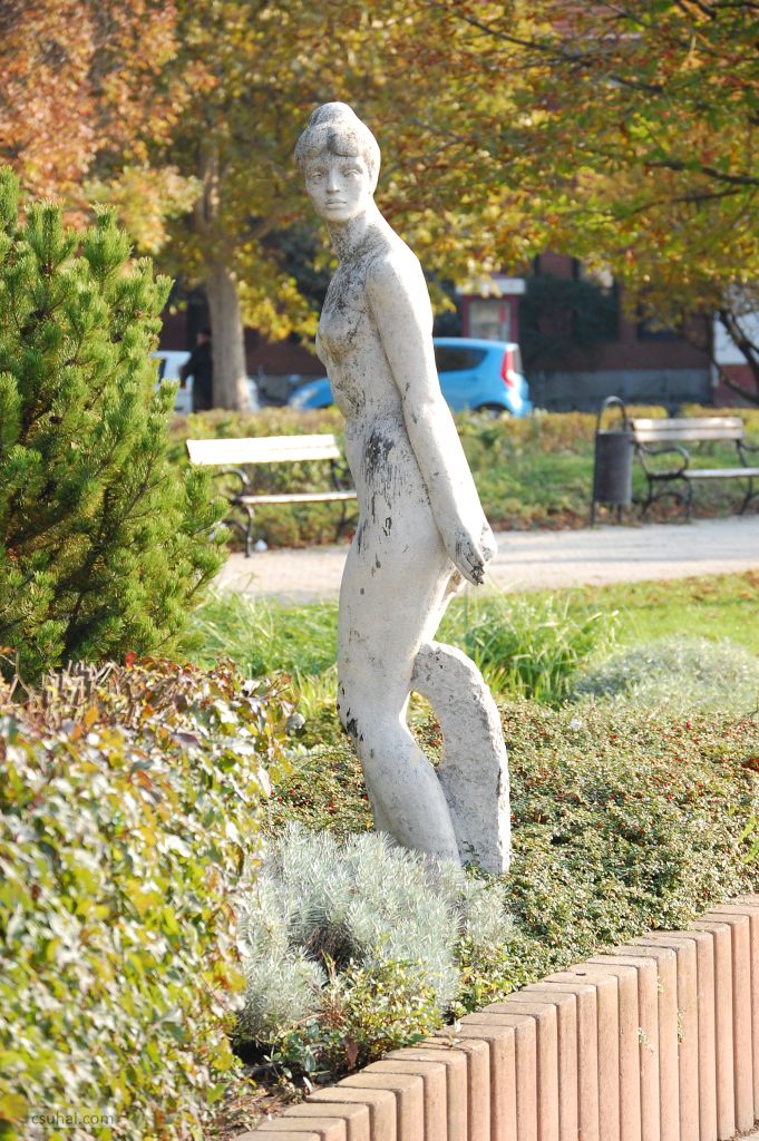 11f_DSC_23782014-10-30_12-42-11