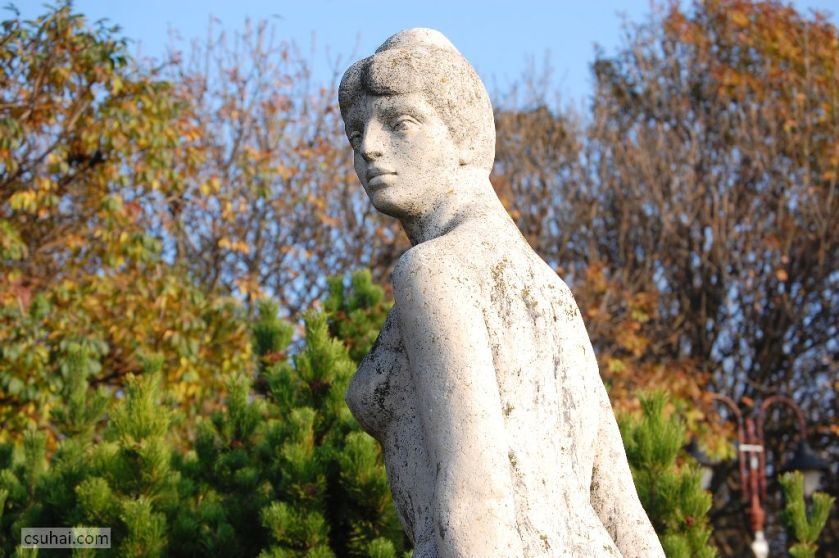 11i_DSC_28592014-11-01_14-34-03