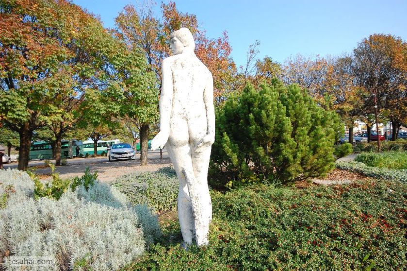 11k_DSC_23462014-10-30_12-36-17