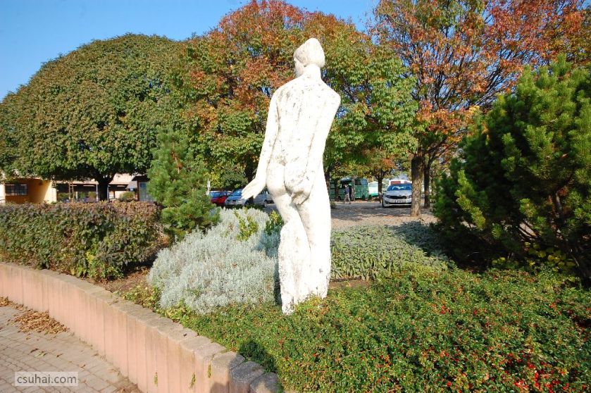 11l_DSC_23482014-10-30_12-36-21