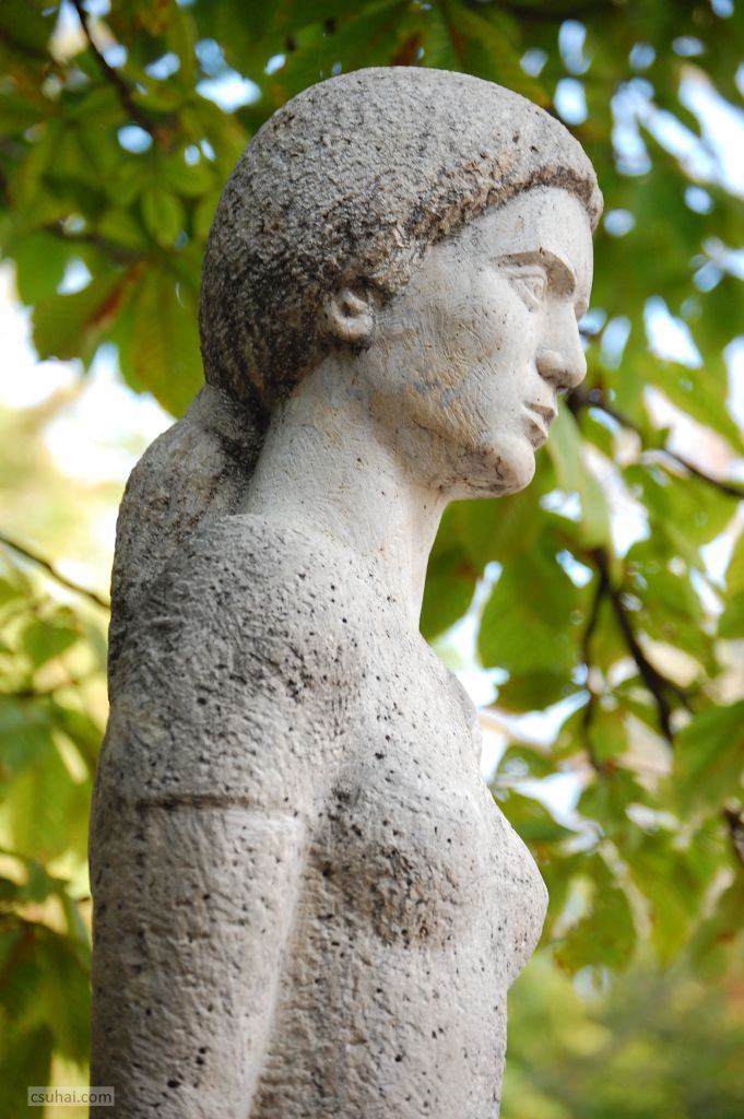 14_DSC_26742014-10-31_14-01-39