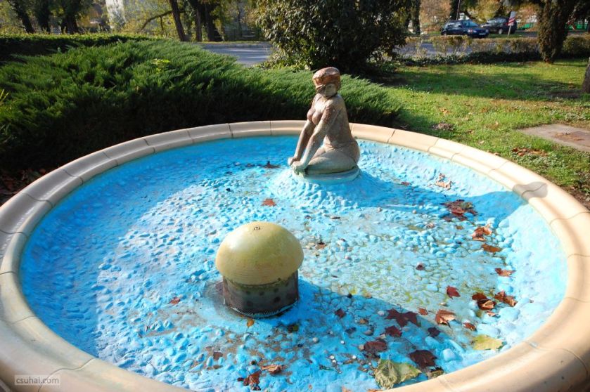 DSC_26422014-10-31_13-23-28