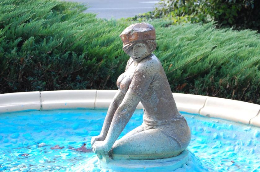 DSC_26932014-10-31_14-11-23