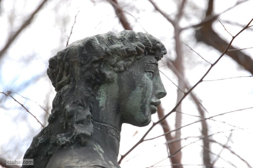 DSC_32482014-12-25_12-03-52