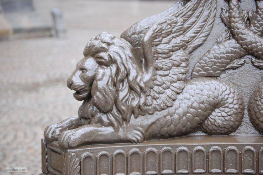 DSC_38302015-01-15_11-51-20