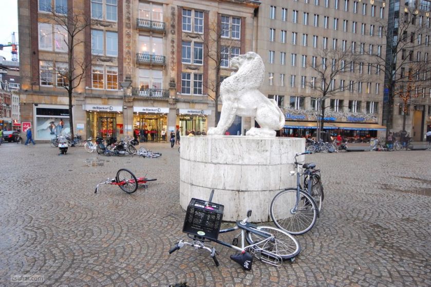 DSC_38552015-01-15_11-57-28