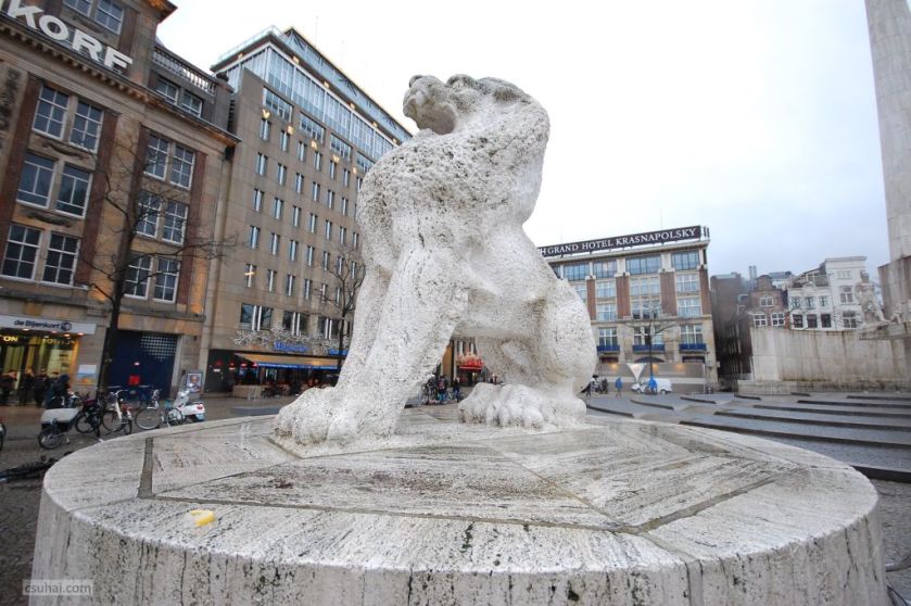 DSC_38562015-01-15_11-57-35