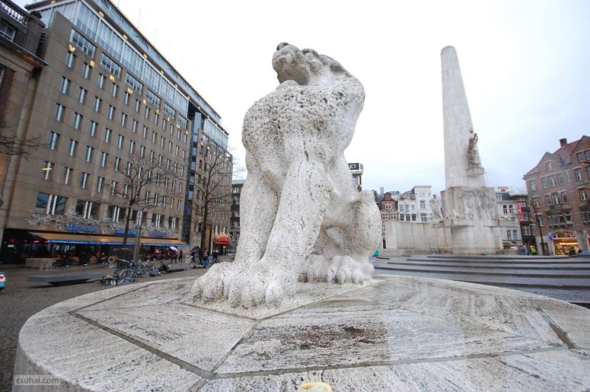 DSC_38572015-01-15_11-57-39