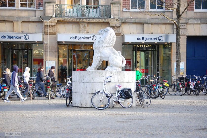 DSC_44102015-01-16_10-54-50