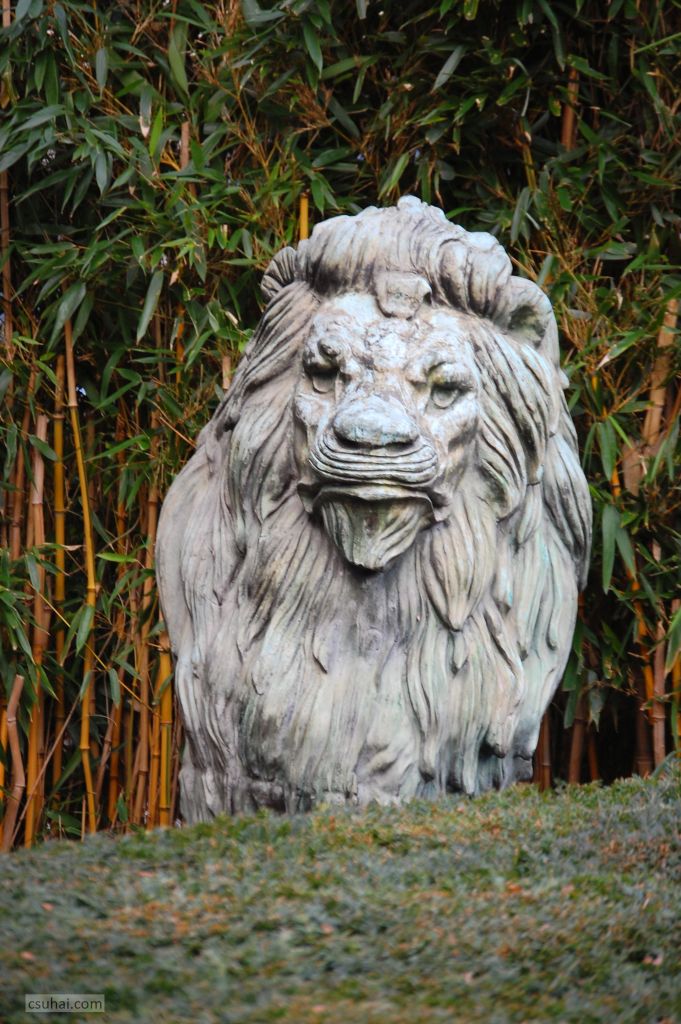 DSC_46542015-01-16_13-16-45