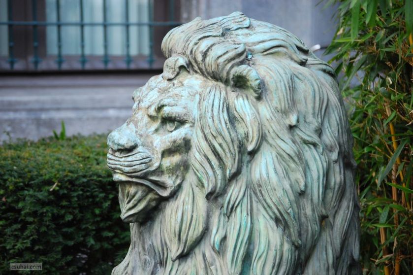 DSC_46622015-01-16_13-18-09