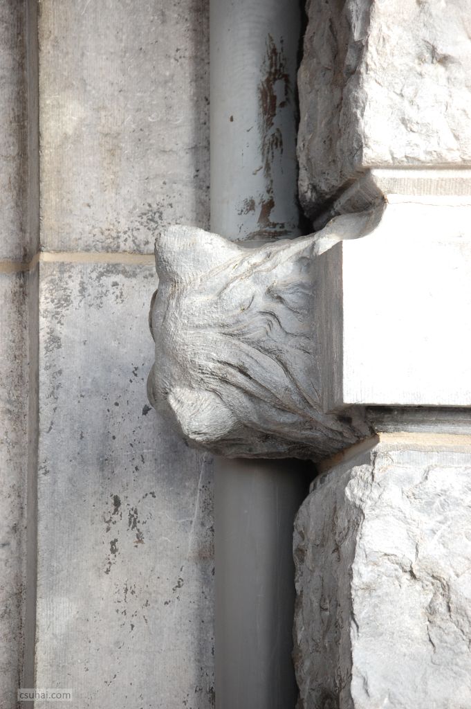 DSC_47152015-01-16_13-27-49