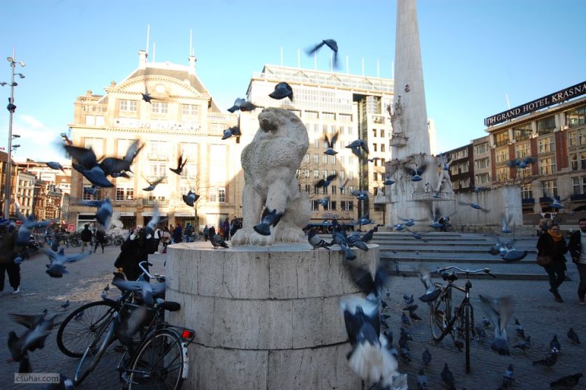 DSC_51672015-01-16_15-32-54