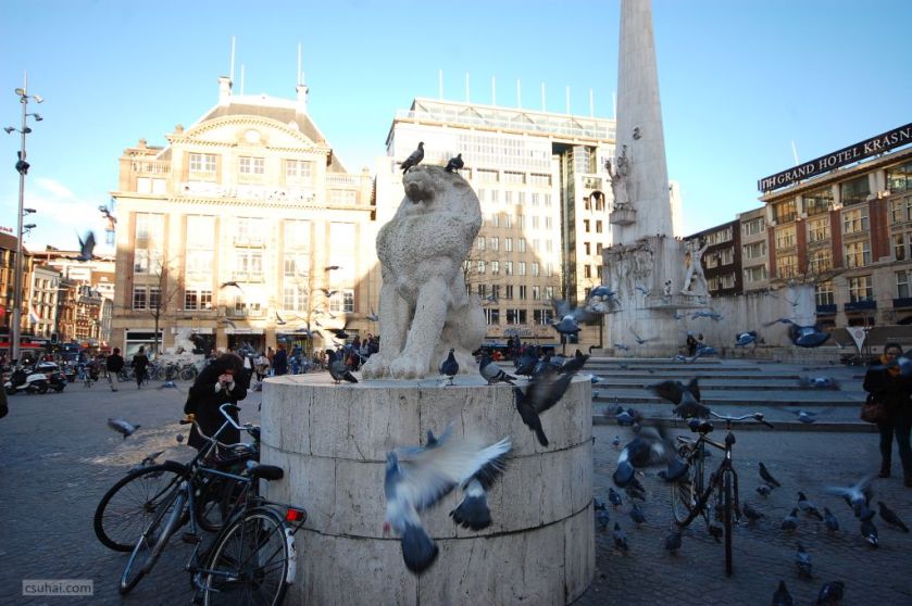 DSC_51692015-01-16_15-32-56