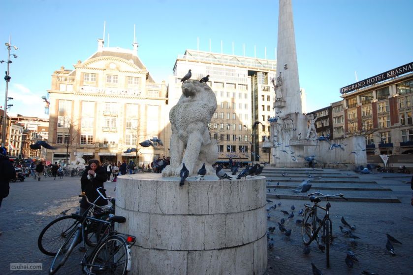 DSC_51702015-01-16_15-32-57