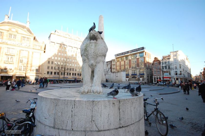 DSC_51712015-01-16_15-33-03