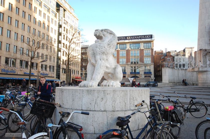 DSC_51842015-01-16_15-35-02