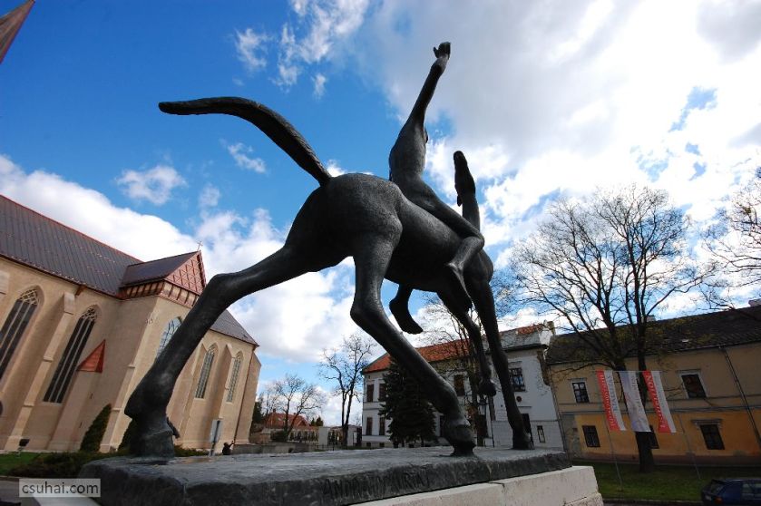 DSC_70002015-04-03_10-08-00