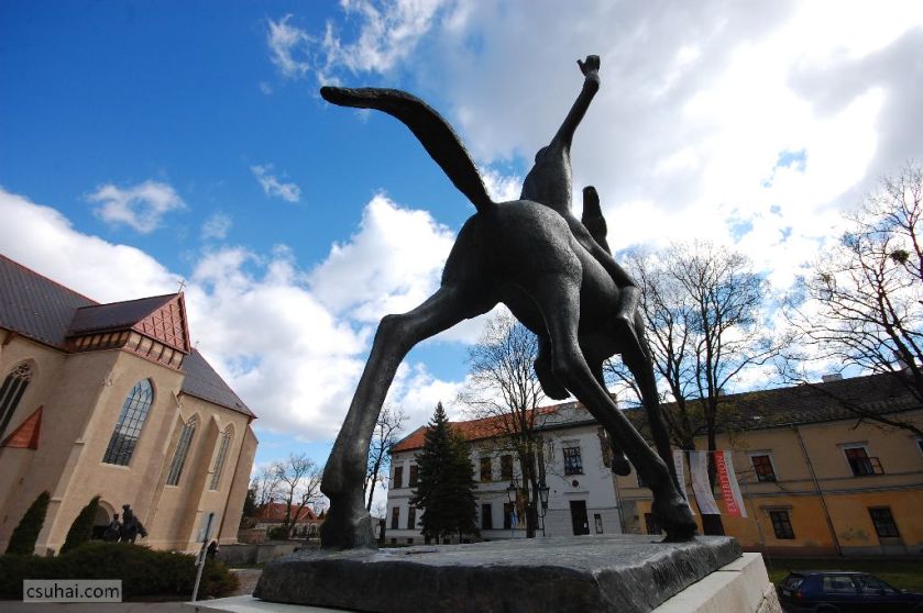 DSC_70022015-04-03_10-08-12