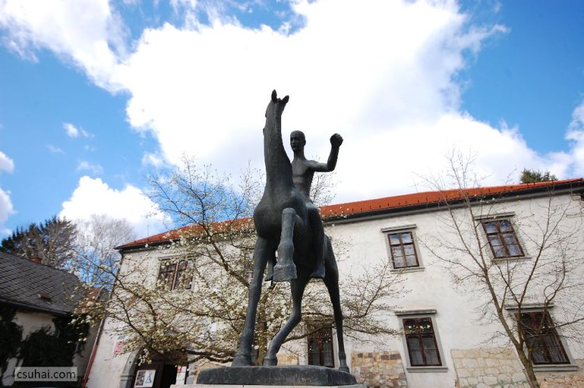 DSC_70052015-04-03_10-08-30