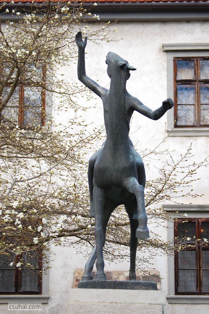 DSC_70112015-04-03_10-09-47