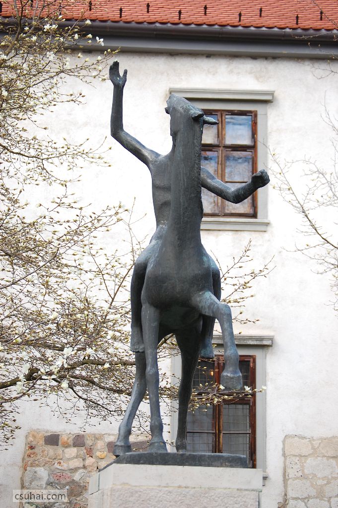 DSC_70122015-04-03_10-09-51