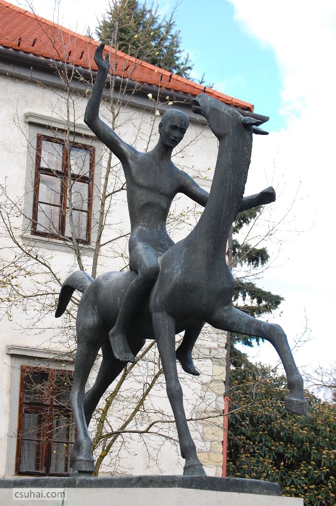 DSC_70152015-04-03_10-10-08