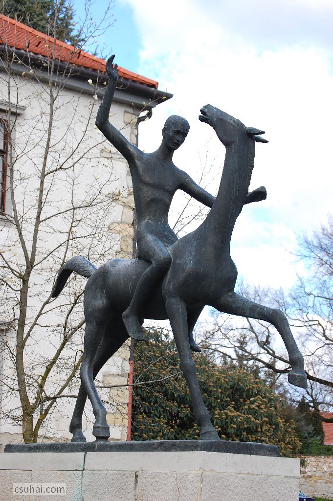 DSC_70162015-04-03_10-10-12